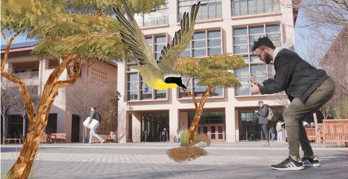 《Krikey》應(yīng)用包含兩個(gè)以保護(hù)自然為主題的游戲