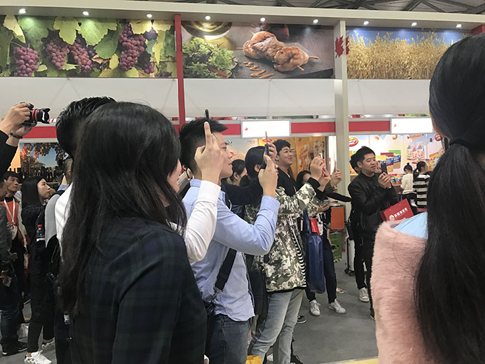 互動游戲,大屏互動游戲,手機互動游戲,小游戲定制,互動游戲開發